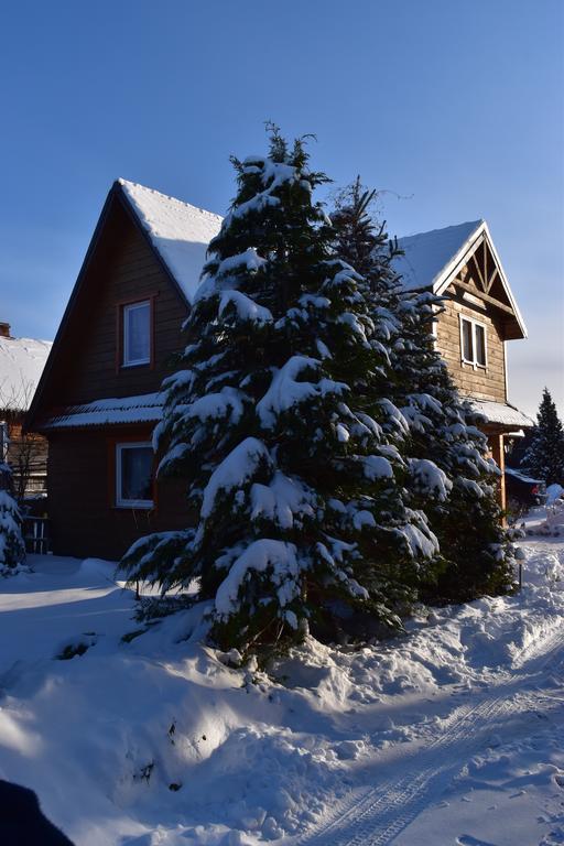 Domek Jaskolka Białowieża Dış mekan fotoğraf