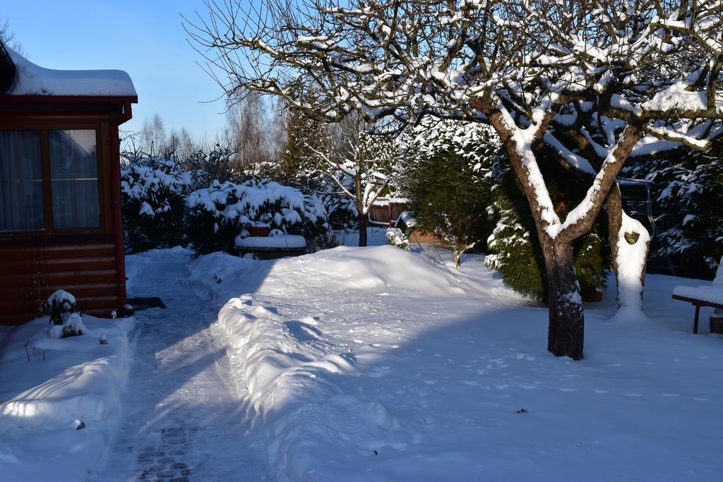 Domek Jaskolka Białowieża Dış mekan fotoğraf
